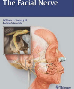 The Facial Nerve