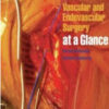 Vascular and Endovascular Surgery at a Glance