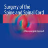 Surgery of the Spine and Spinal Cord: A Neurosurgical Approach 1st ed. 2016 Edition