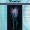 Musculoskeletal Examination of the Shoulder: Making the Complex Simple 1st Edition