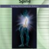 Musculoskeletal Examination of the Spine: Making the Complex Simple  1st Edition