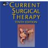 Current Surgical Therapy 10e (Current Therapy) 10th Edition