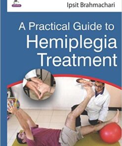 A Practical Guide to Hemiplegia Treatment 1st Edition