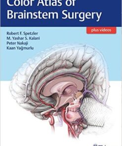 Color Atlas of Brainstem Surgery 1st Edition PDF & VIDEO & Animation