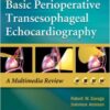 Basic Perioperative Transesophageal Echocardiography