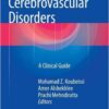 Seizures in Cerebrovascular Disorders