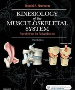 Kinesiology of the Musculoskeletal System: Foundations for Rehabilitation, 3e 3rd Edition PDF