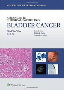 Advances in Surgical Pathology Bladder Cancer EPUB