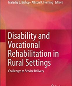 Disability and Vocational Rehabilitation in Rural Settings: Challenges to Service Delivery 1st ed. 2018 Edition PDF