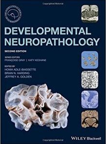 Developmental Neuropathology 2nd Edition PDF