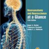 Neuroanatomy and Neuroscience at a Glance 5th Edition PDF