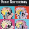 Human Neuroanatomy 2nd Edition PDF