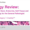 Pathology Review Breast, Head and Neck, Endocrine, Soft Tissue and Dermatopathology for the General Pathologist – Edusymp PDF & VIDEO