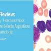 Pathology Review: Hematopathology, Head and Neck Pathology and Fine Needle Aspirations for the General Pathologist PDF & VIDEO 2019