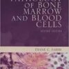 Pathology of Bone Marrow and Blood Cells Second Edition