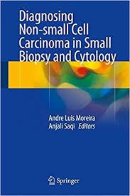 Diagnosing Non-small Cell Carcinoma in Small Biopsy and Cytology