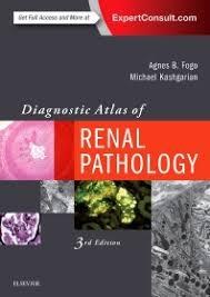 Diagnostic Atlas of Renal Pathology, 3e