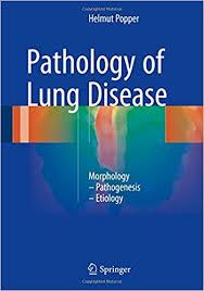 Pathology of Lung Disease: Morphology – Pathogenesis – Etiology 1st