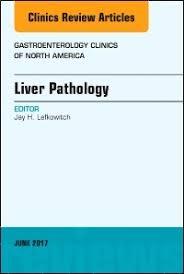 Liver Pathology, An Issue of Gastroenterology Clinics of North America, E-Book (The Clinics: Internal Medicine)