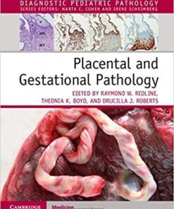 Placental and Gestational Pathology Hardback with Online Resource (Diagnostic Pediatric Pathology)