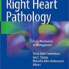 Right Heart Pathology: From Mechanism to Management 1st ed. 2018 Edition