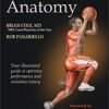 Basketball Anatomy