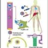 Nanotherapeutics: From Laboratory to Clinic