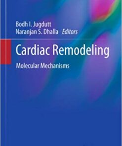 Cardiac Remodeling: Molecular Mechanisms (Advances in Biochemistry in Health and Disease Book 5)