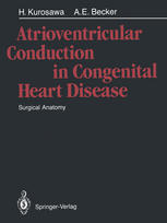 Atrioventricular Conduction in Congenital Heart Disease: Surgical Anatomy pdf