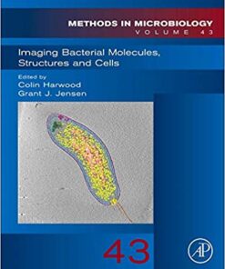 Imaging Bacterial Molecules, Structures and Cells, Volume 43 (Methods in Microbiology) 1st Edition