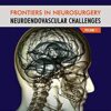 Frontiers in Neurosurgery Volume 1: NeuroEndovascular Challenges PDF