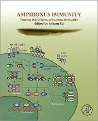 Amphioxus Immunity: Tracing the Origins of Human Immunity