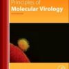 Principles of Molecular Virology