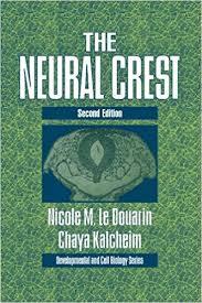 The Neural Crest (Second Edition) (Developmental and Cell Biology Series) 2nd Edition