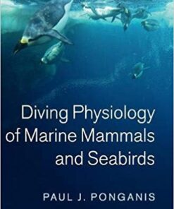 Diving Physiology of Marine Mammals and Seabirds 1st Edition