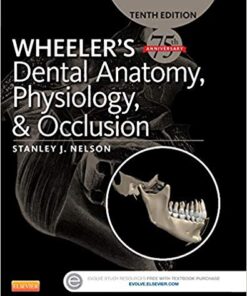 Wheeler's Dental Anatomy, Physiology and Occlusion 10th Edition