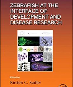 Zebrafish at the Interface of Development and Disease Research, Volume 124 (Current Topics in Developmental Biology) 1st Edition