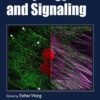 Autophagy and Signaling (Methods in Signal Transduction Series) 1st