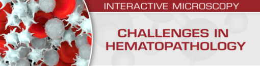 USCAP Challenges in Hematopathology 2019 (CME VIDEOS)