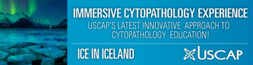 USCAP Immersive Cytopathology Experience ICE in Iceland 2019 (CME VIDEOS)