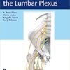 Surgical Anatomy of the Lumbar Plexus 1st Edition