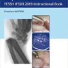 Distal Radius Fractures and Carpal Instabilities: FESSH IFSSH 2019 Instructional Book 1st Edition PDF