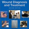 Text and Atlas of Wound Diagnosis and Treatment, Second Edition 2nd Edition PDF