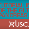 Tutorial in Pathology of the GI Tract, Pancreas and Liver 2019 video