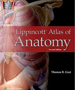 Lippincott Atlas of Anatomy PDF