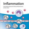 Inflammation, 4 Volume Set: From Molecular and Cellular Mechanisms to the Clinic 1st Edition PDF