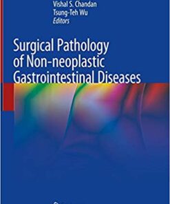 Surgical Pathology of Non-neoplastic Gastrointestinal Diseases 1st ed. 2019 Edition PDF