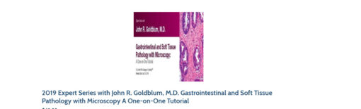 2019 Expert Series with John R. Goldblum, M.D. Gastrointestinal and Soft Tissue Pathology with Microscopy A One-on-One Tutorial