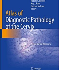 Atlas of Diagnostic Pathology of the Cervix: A Case-Based Approach 1st ed. 2021 Edition PDF