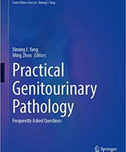 Practical Genitourinary Pathology: Frequently Asked Questions 1st ed. 2021 Edition PDF